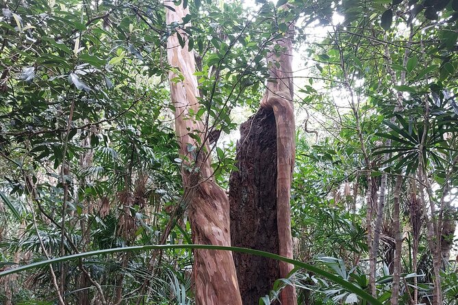 Trek Nui Chua Experience 2D1N, Night in the Jungle - Vinh Hy Bay - A night away from the connected world