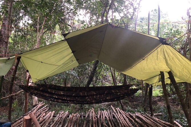 Trek Nui Chua Experience 2D1N, Night in the Jungle - Vinh Hy Bay - The 4.5 kilometer climb through three forest types