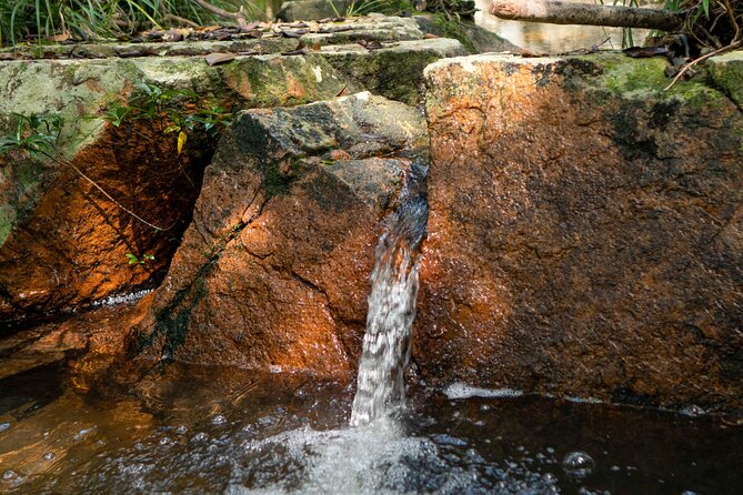 Trek Nui Chua Experience 2D1N, Night in the Jungle - Vinh Hy Bay - BBQ dinner as the jungle gets dark