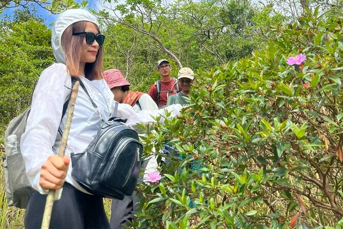 Trek Nui Chua Experience 2D1N, Night in the Jungle - Vinh Hy Bay - Reaching the streamside base camp