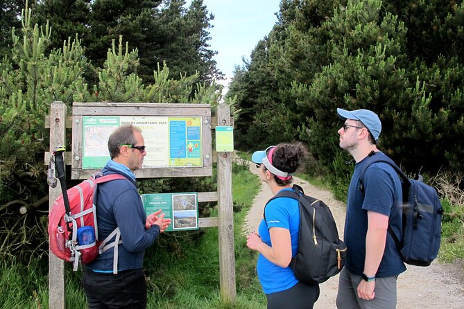 Trek the Tombs and Trails in the Dublin Mountains - Picking wild berries when the season allows