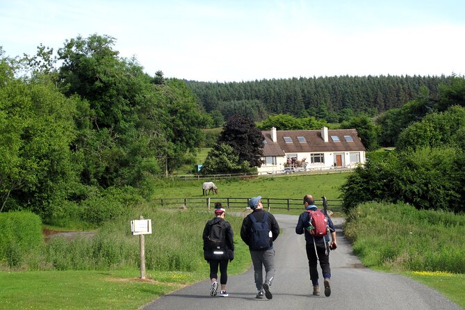 Trek the Tombs and Trails in the Dublin Mountains - Forest paths and the finish at The Hazel House