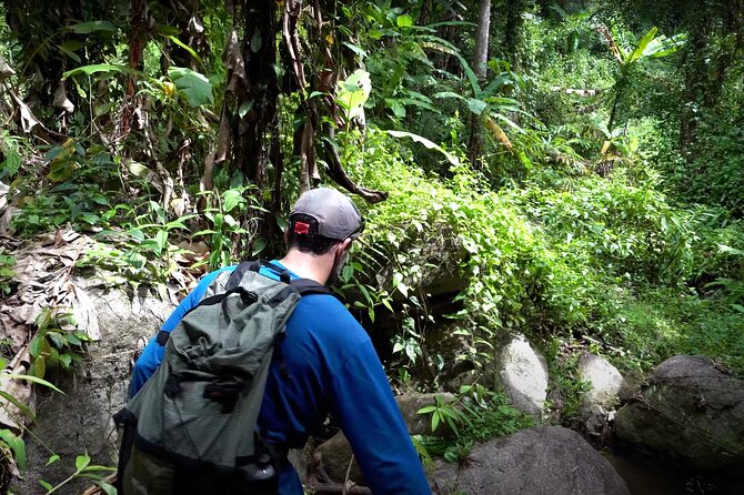 Trek to a Jungle Waterfall - The waterfall reward after 1.6 kilometers