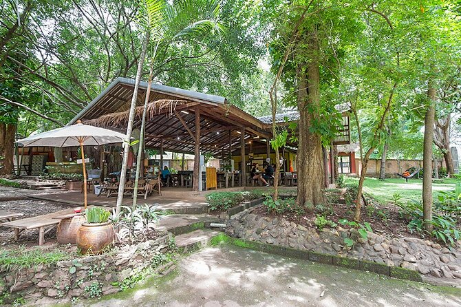 Trek to a Jungle Waterfall - A good first jungle trek for families