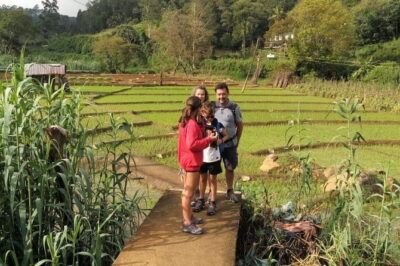 Trek to Little Adam’s Peak and Nine Arches Bridge In Ella