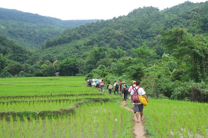 Trek to Tad Sae Waterfalls, Local Village - Ban Suan Dala and three local communities