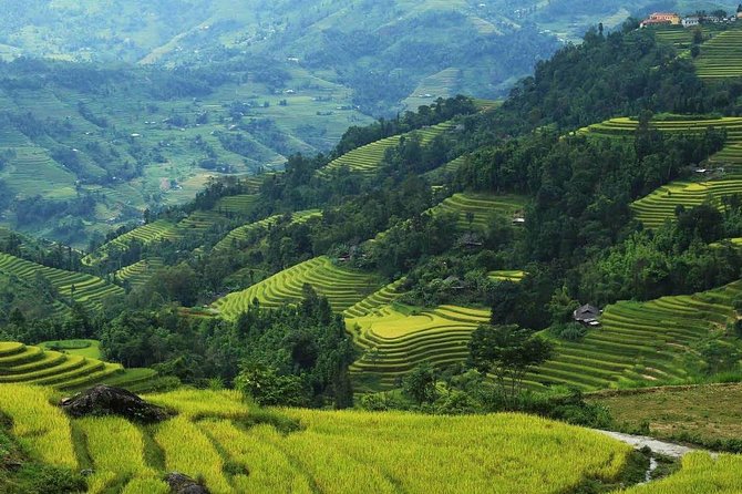 Trekking around Ha Giang 5 days 4 nights - Food, transport, and the guide question