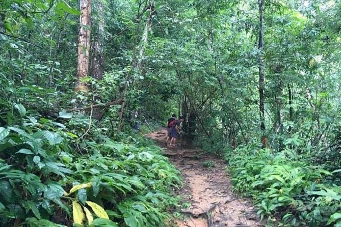 Trekking at the Monk Trail and Doi Suthep Temple Private Tour - Reaching Wat Phra That Doi Suthep