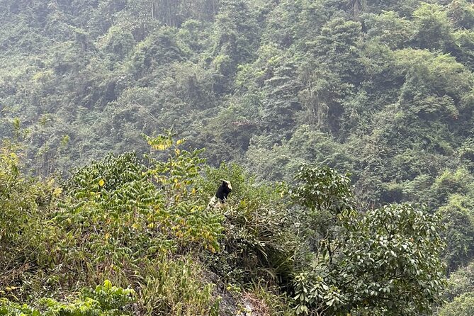 Trekking Ban Gioc Waterfall to Hidden Village on Unique Route - Why this route is better than a quick Ban Gioc stop