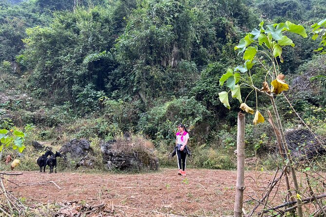 Trekking Ban Gioc Waterfall to Hidden Village on Unique Route - Ban Gioc Waterfall and the border setting