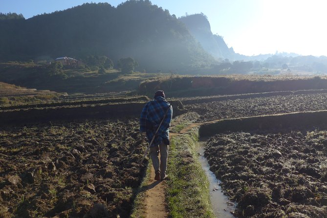 Trekking, Hiking And Tours Madagascar - Why Ambondrombe Makes This Trek Different