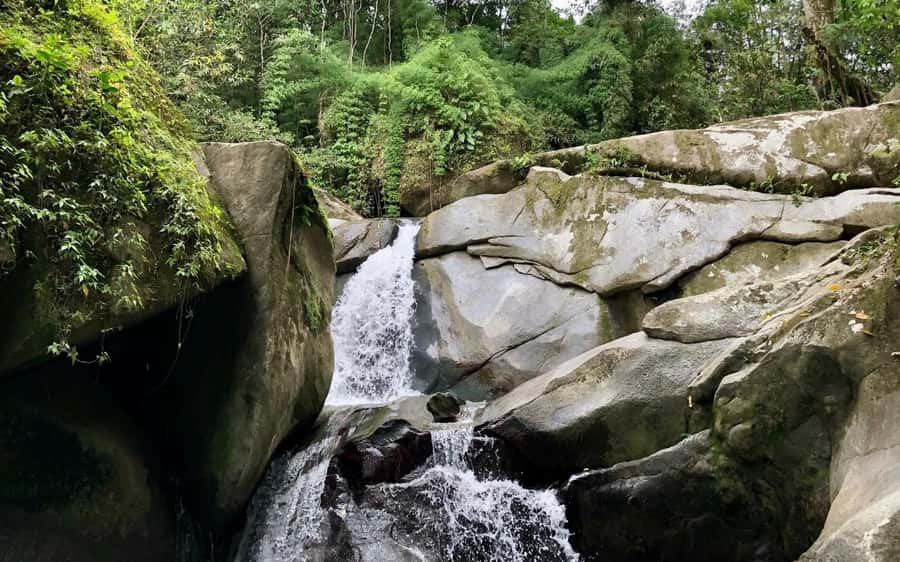 Trekking History and Indigenous Heritage in Minca + Cacao & Coffee + Waterfall - Meeting the Arhuaco family at Cabanas Bosque Cacao