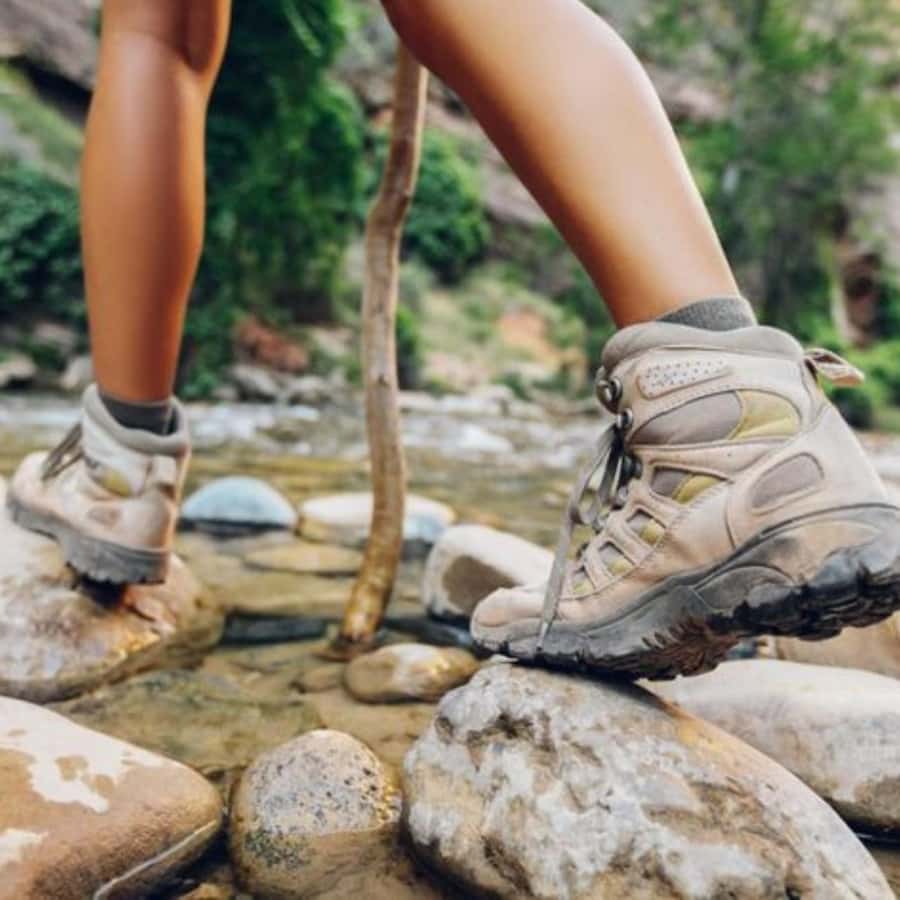 Trekking History and Indigenous Heritage in Minca + Cacao & Coffee + Waterfall - What the $41 price includes