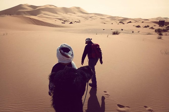 Trekking in Morocco / Atlas Mountains and Sahara Trek (5days) - Climbing Mount Toubkal at 4,167 meters