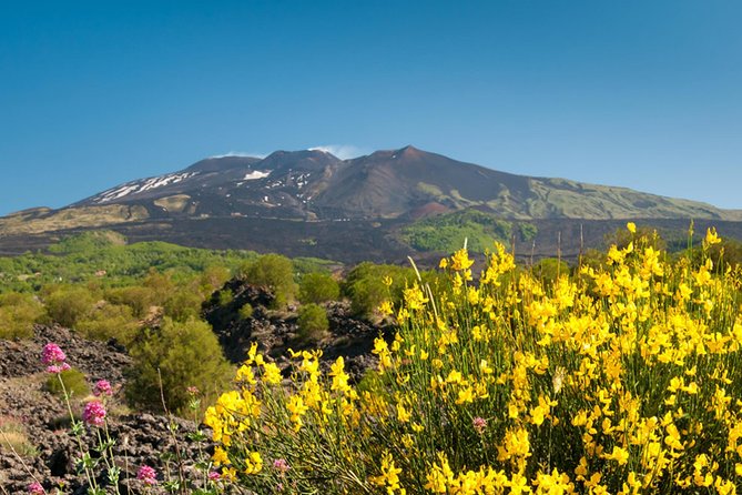 Trekking in the morning on Mount Etna - Who will enjoy this Etna hike most