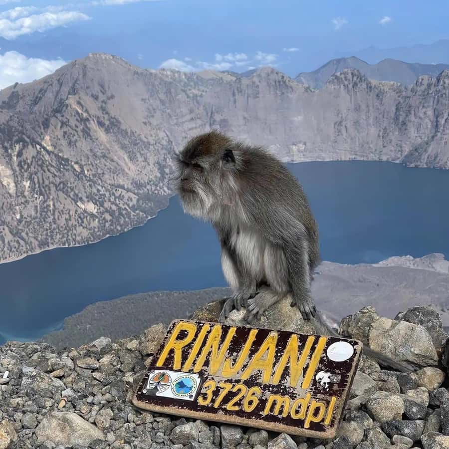 trekking mount rinjani summit join in group tour - Day one: from Sembalun’s grassland to the crater rim