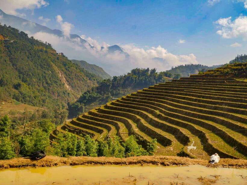 Trekking Sapa 1 Day With Local Guide, Terraced Rice Fields - Key points to know before you go