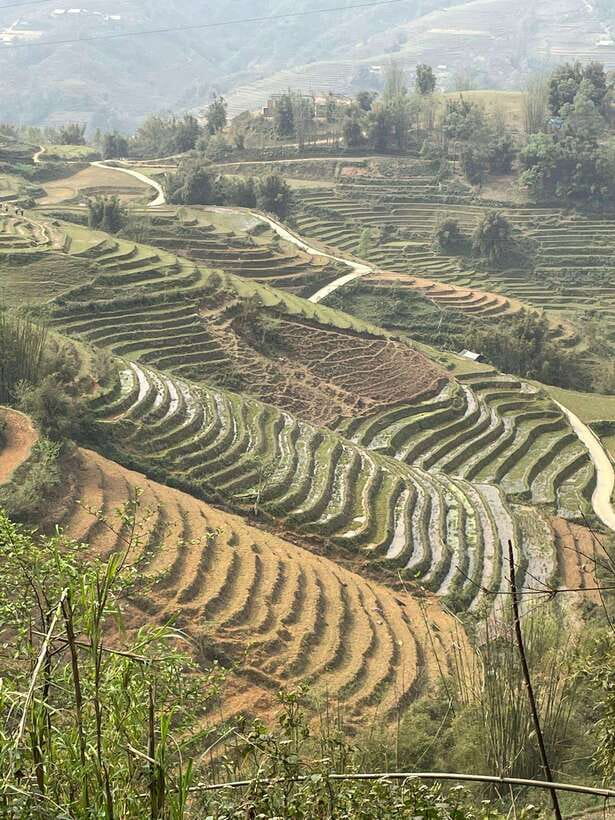 Trekking Sapa 1 Day With Local Guide, Terraced Rice Fields - What the small group and local guide add