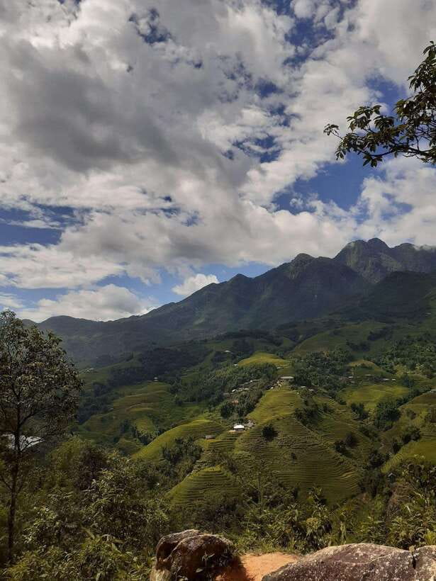 Trekking Sapa 1 Day With Local Guide, Terraced Rice Fields - Starting in Sapa and walking toward Cat Cat
