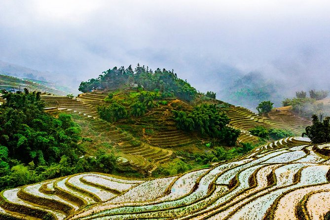 Trekking Through Rice Terraced Fields - 1Day - Ta Van and the Giay community