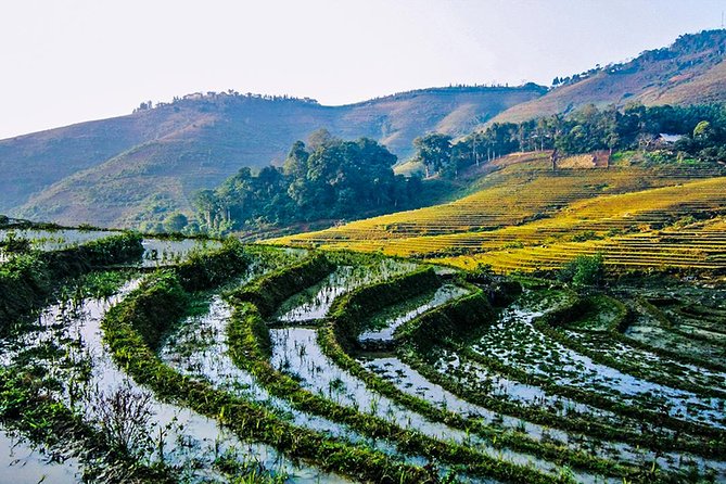 Trekking Through Rice Terraced Fields - 1Day - The guide can make or break the day