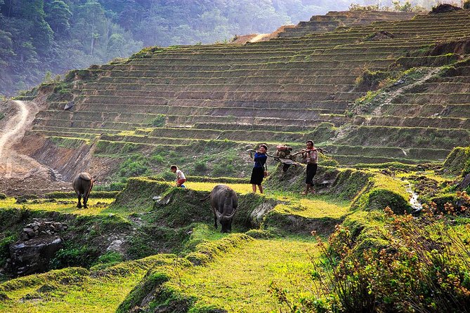 Trekking Through Rice Terraced Fields - 1Day - What the $45 price includes