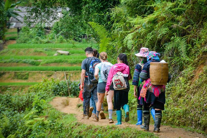 Trekking Through Rice Terraced Fields - 1Day - Who should book this walk?