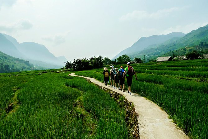 Trekking Through Rice Terraced Fields - 1Day - Starting in Sapa and heading toward Y Linh Ho
