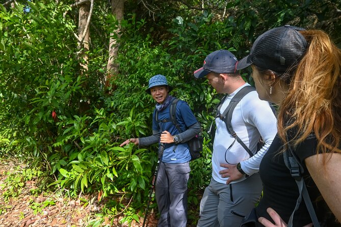 Trekking Tien Son Dinh Phu Quoc - Climbing through Phu Quoc’s tropical forest