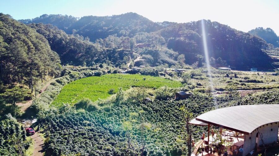 Trekking to Hidden Waterfall & Sturgeon Farm for dog-lovers - A private waterfall walk outside Dalat