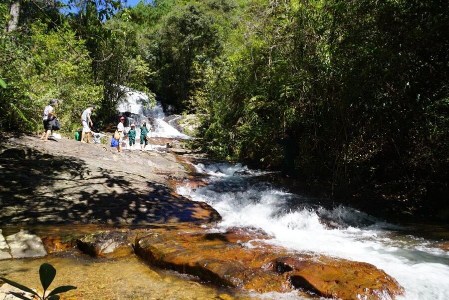 Trekking to Hidden Waterfall & Sturgeon Farm for dog-lovers - Coffee from the plantation to the roastery