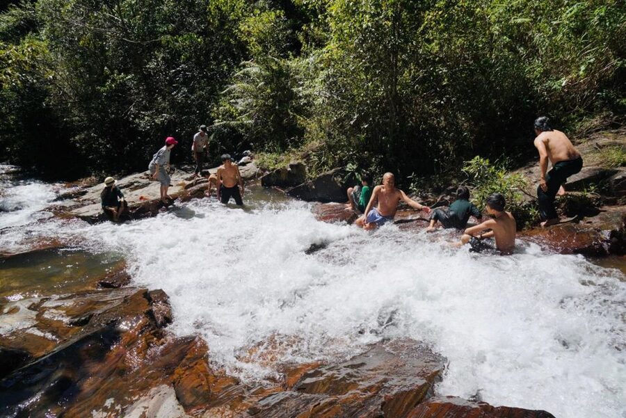 Trekking to Hidden Waterfall & Sturgeon Farm for dog-lovers - Should you book the Twin Beans Farm trek?