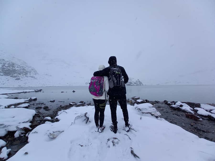 Trekking to Vinciguerra glacier and Tempanos lagoon - A guide-led day with room for personal attention