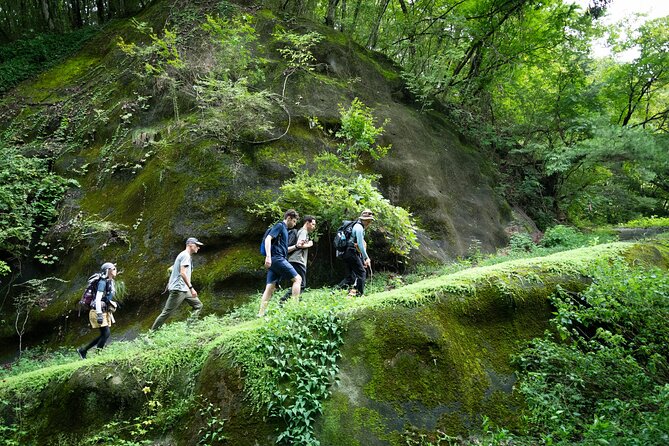 Trekking Tour to Faith, Ancient Paths and the Falls from Hitachi - Daigo adds cafés, shops, and a slower finish