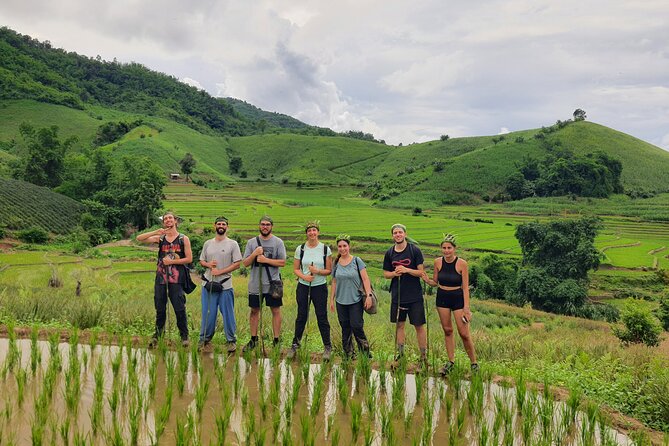 Trekking with Lunch cooked by Bamboo in the Chiang Rai jungle - Key points to know before booking