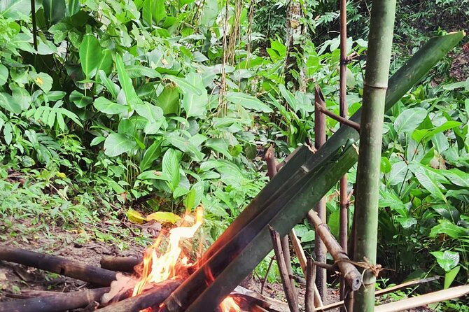 Trekking with Lunch cooked by Bamboo in the Chiang Rai jungle - Lisu and Chinese villages along the route
