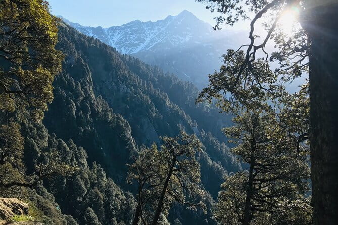 Triund Trek & Snow Line Trek - Camping at Triund: simple, useful, and weather-dependent