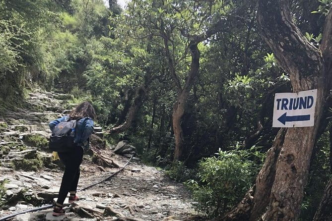 Triund Trek - What the Triund campsite adds