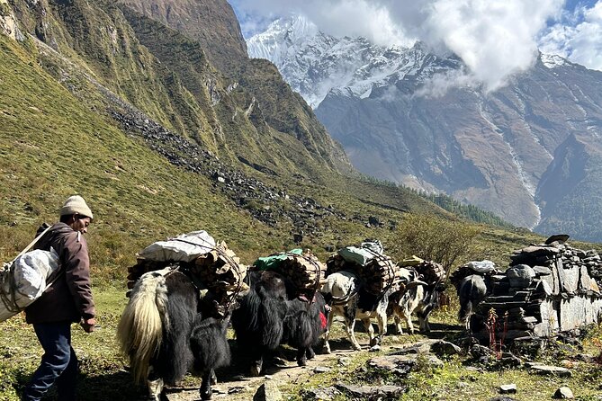 Tsum Valley Trekking - Chumling introduces the Tibetan side of the valley