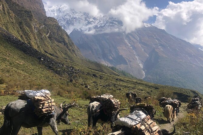 Tsum Valley Trekking - Chhokangparo brings the best early mountain views