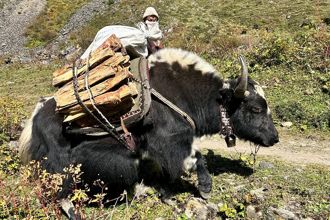 Tsum Valley Trekking - Rachen Gompa changes the rhythm on the way down