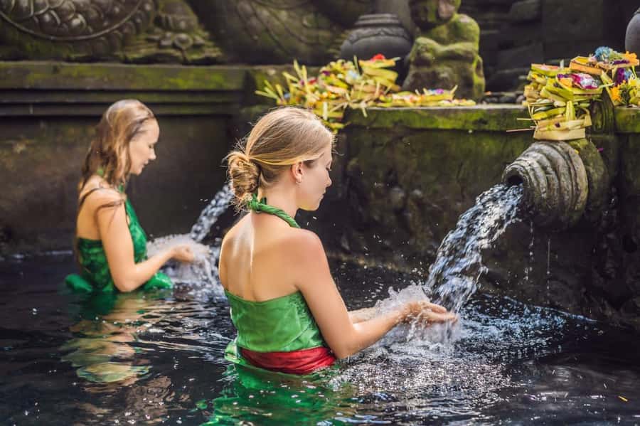 Ubud: Rice Terrace, Holy Water Temple & Waterfalls Trek Tour - Who should book this tour?