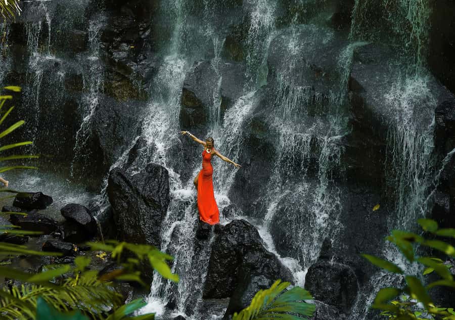 Ubud: Rice Terrace, Holy Water Temple & Waterfalls Trek Tour - Ceking Rice Terrace, Bali’s working countryside