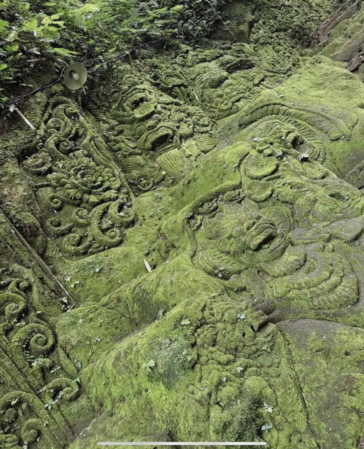 Ubud: Trekking Through Rivers & Forests to Three Waterfalls - What the $19 price really covers