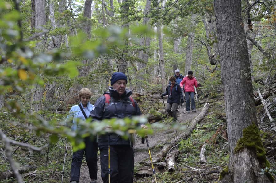 Ushuaia: Tierra del Fuego Trekking and Canoeing - Who will enjoy this most