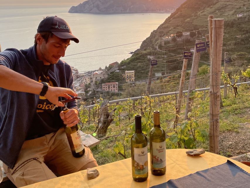 Vernazza: Panoramic Vineyard Trekking Tour w/ Wine Tasting - Why this Vernazza vineyard outing feels different