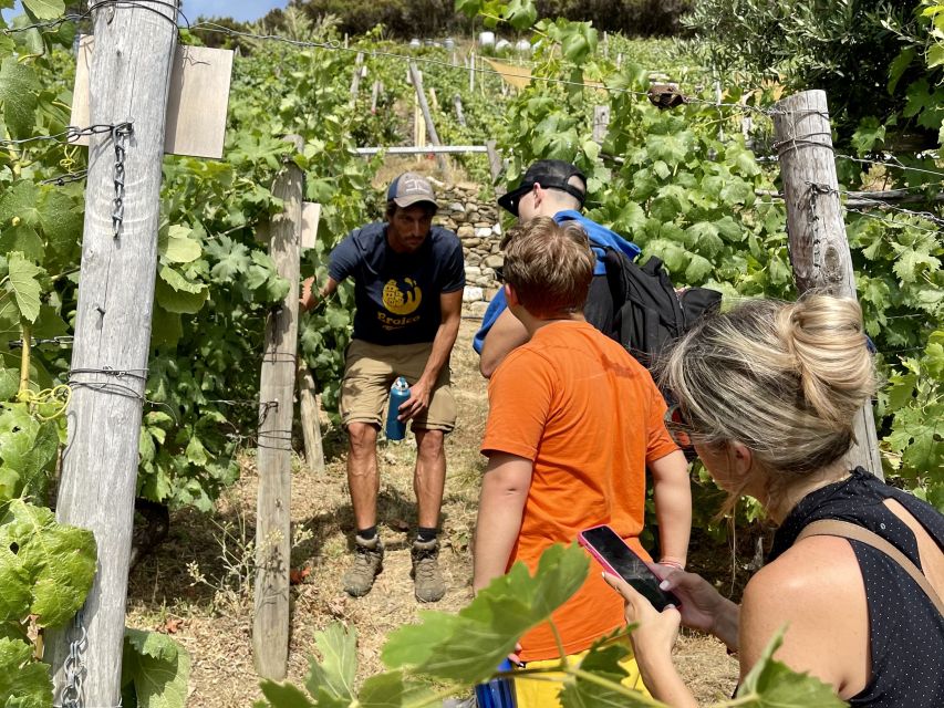 Vernazza: Panoramic Vineyard Trekking Tour w/ Wine Tasting - The 30-minute climb above Vernazza