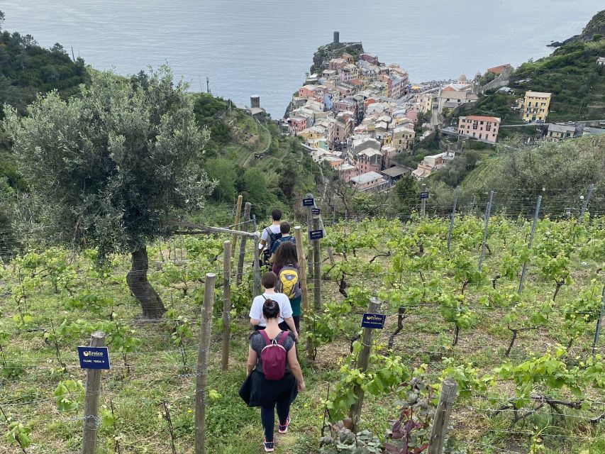 Vernazza: Panoramic Vineyard Trekking Tour w/ Wine Tasting - Three wines and local snacks