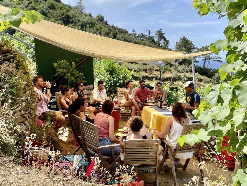 Vernazza: Panoramic Vineyard Trekking Tour w/ Wine Tasting - Timing, price, and practical value