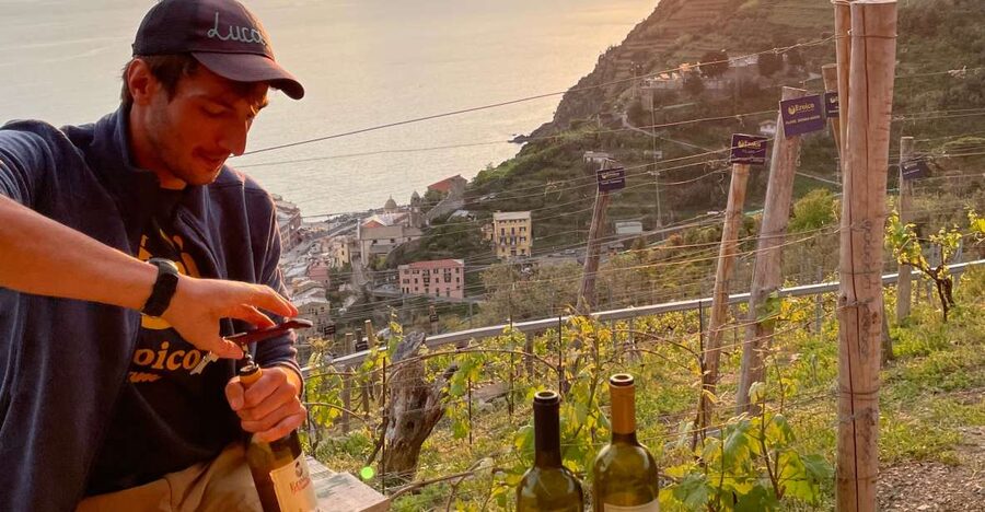 Vernazza: Panoramic Vineyard Trekking Tour w/ Wine Tasting - Meeting Luca near Cinque Sensi bar